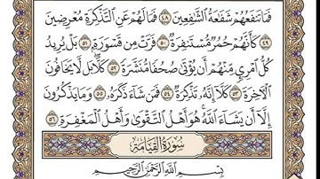 سورة المدثر للشيخ وديع اليمني