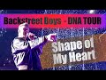 SHAPE OF MY HEART - Backstreet Boys DNA World Tour (Front of Stage)