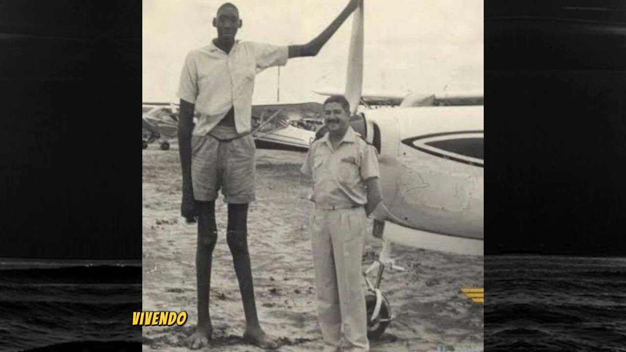 O gigante de Moçambique, uma história impressionante