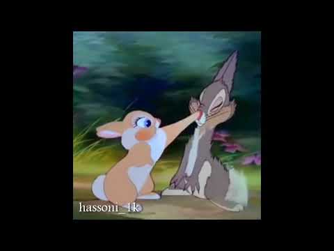 حالة حب إليسا ارنب يقبل حبيبتة