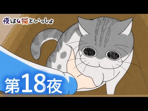 アニメ 夜は猫といっしょ 第18夜 どいてくれないネコ Youtube