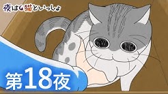 アニメ 夜は猫といっしょ チャンネル Youtube