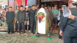 Dapat mangsa banyak Macan Macanan Barong Tresno Budoyo Kemiren live Kemiren 