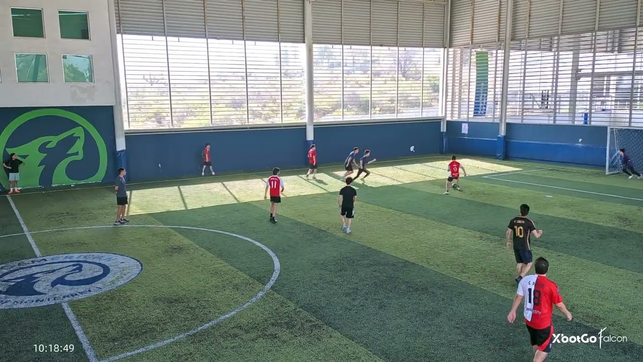 Armadillos vs Kawashima Wonders J7