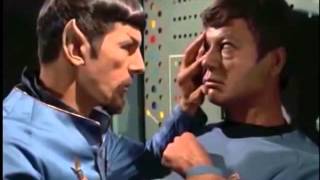 Spock With A Beard - Palm Skin Productions