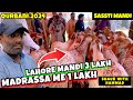 Sassti mandi  qurbani 2024 makhi cheena sasta lo  bakra mandi 2024  shauk with hammad