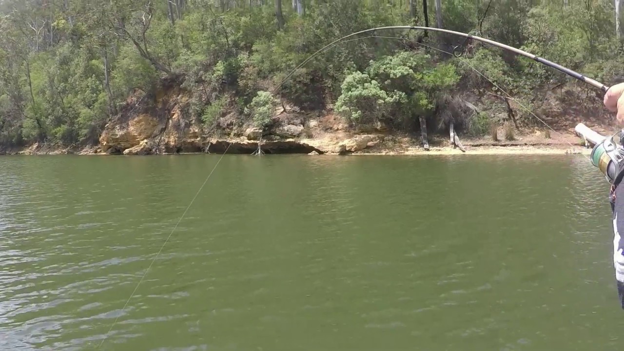 Keepin' It Reel Charters Lake Tyers Fishing video 1 YouTube