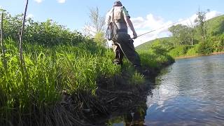 SPRING FLY FISHING-MISTER BROWN