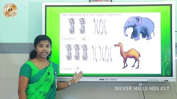 SILVER HILLS HSS | Std II | Mathematics | JUNGLE OUR HOME | Ms Sikha C P