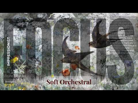 Focus - Soft Orchestral with Impressionist | Liljefors · Common Swifts & others