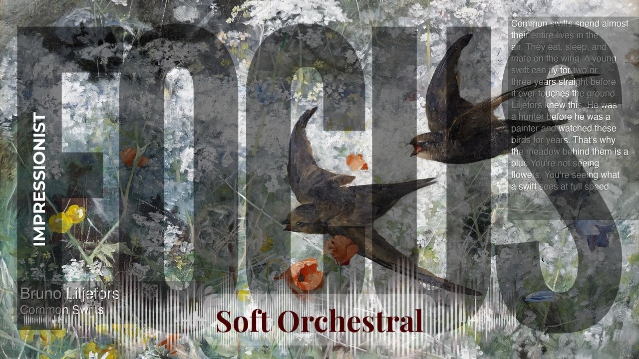 Focus - Soft Orchestral with Impressionist | Liljefors · Common Swifts & others