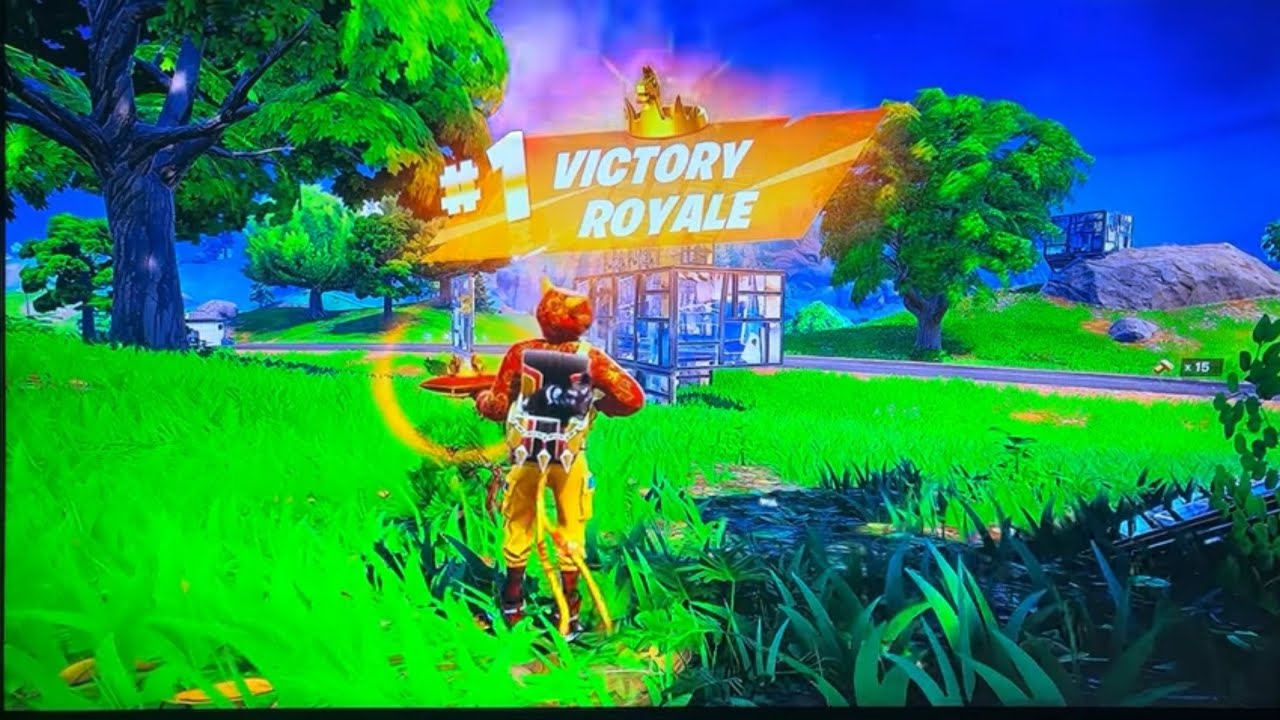 Fortnite 14 elimination by the cat& victory 👏👏👏 - YouTube