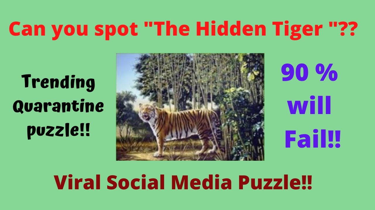 The hidden tale of a 3-legged tiger