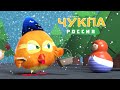 Где Чукпа? #22 - мультфильм для детей - мультики для малышей