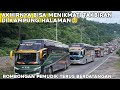 BIKIN HARU🥹 RIBUAN PEMUDIK BERDATANGAN😱DI RANAH MINANG BERSAMA BUS PULANG BASAMO