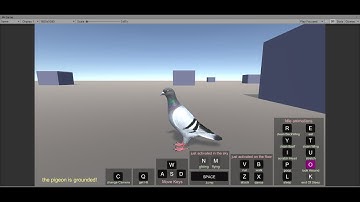 Realistic Animated Rock Pigeon Low-Poly 3d Model