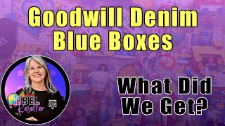 We Ordered 2 Goodwill Blue Box Denim Boxes. See What We Got