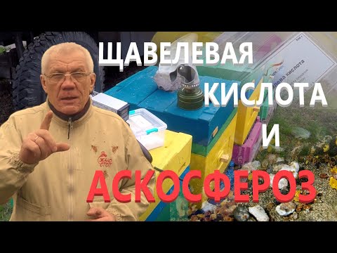 Сублиматор щавелевой кислоты Щавелевая кислота и аскосфероз