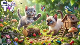 Cat Cartoons for Cats to Watch: Entertainment Cat Videos To Keep Cats Active with Relaxing Cat Music