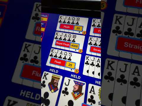 MUSTANG TRAIL EPIC GAME BONUS BUY ONLINE CASINO ONLINE SLOT GOOD WIN