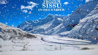 Sissu Snowfall | Sissu Vlog | Manali Sissu | Sissu Village | Lahaul & Spiti | Himachal Pradesh