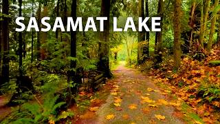 Calm and Peaceful Gentle Rain Hike through Lush Forest to Sasamat Lake in Anmore, BC Canada