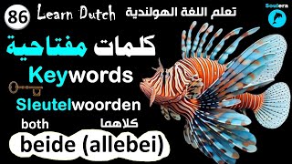 د159- خطوة 86: كلمات مفتاحية في اللغة الهولندية - كلاهما 🐬