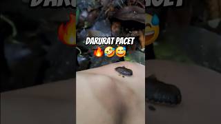 🔥⛰️Darurat pacet 😅🤣 #treking #sahabatgunung #hiking #pendakigunung #pacet #binatangbuas