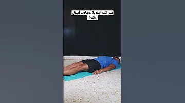 عضلات المؤخرة أهم داعم لمنطقة أسفل الظهر شوفو كيف منقدر نقويها كوتش محمد ابوجراد 
