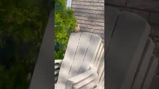 I was just chilling and then this  beautiful bird came along