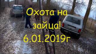 Охота на зайца! 6 01 2019