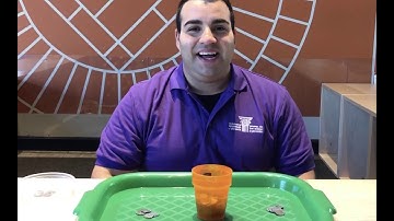 Penny Surface Tension Game