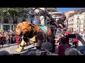 Le bull machin de m bourgogne  une course de royal de luxe