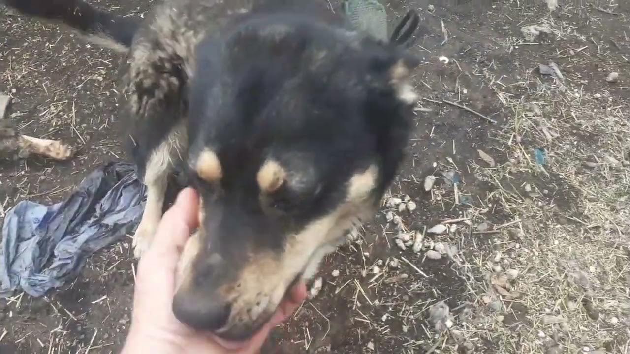 все при деле палыч виталик и я - YouTube