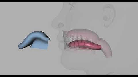 Tongue - Sensor Driven Animation
