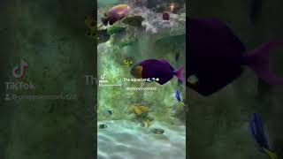 Aquarium | Follow TikTok preppy viral summer aussie trend australia aquarium fish jellyfish