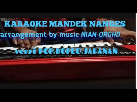 MANDEK NANGIS - Terbaru NEW PALLAPA Feat LARA SILVY (Banyu moto uwes asat kerono mikir koe minggat)