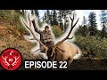 GIANT Backcountry Elk! (Destination Elk V3 - Episode 22)