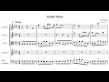 Antonio Vivaldi - Stabat Mater, RV 621. {w/ score} Soloist: Andreas Scholl.