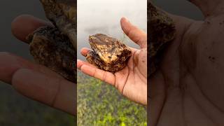 Exploration Is The Essence Of Human Spirit .