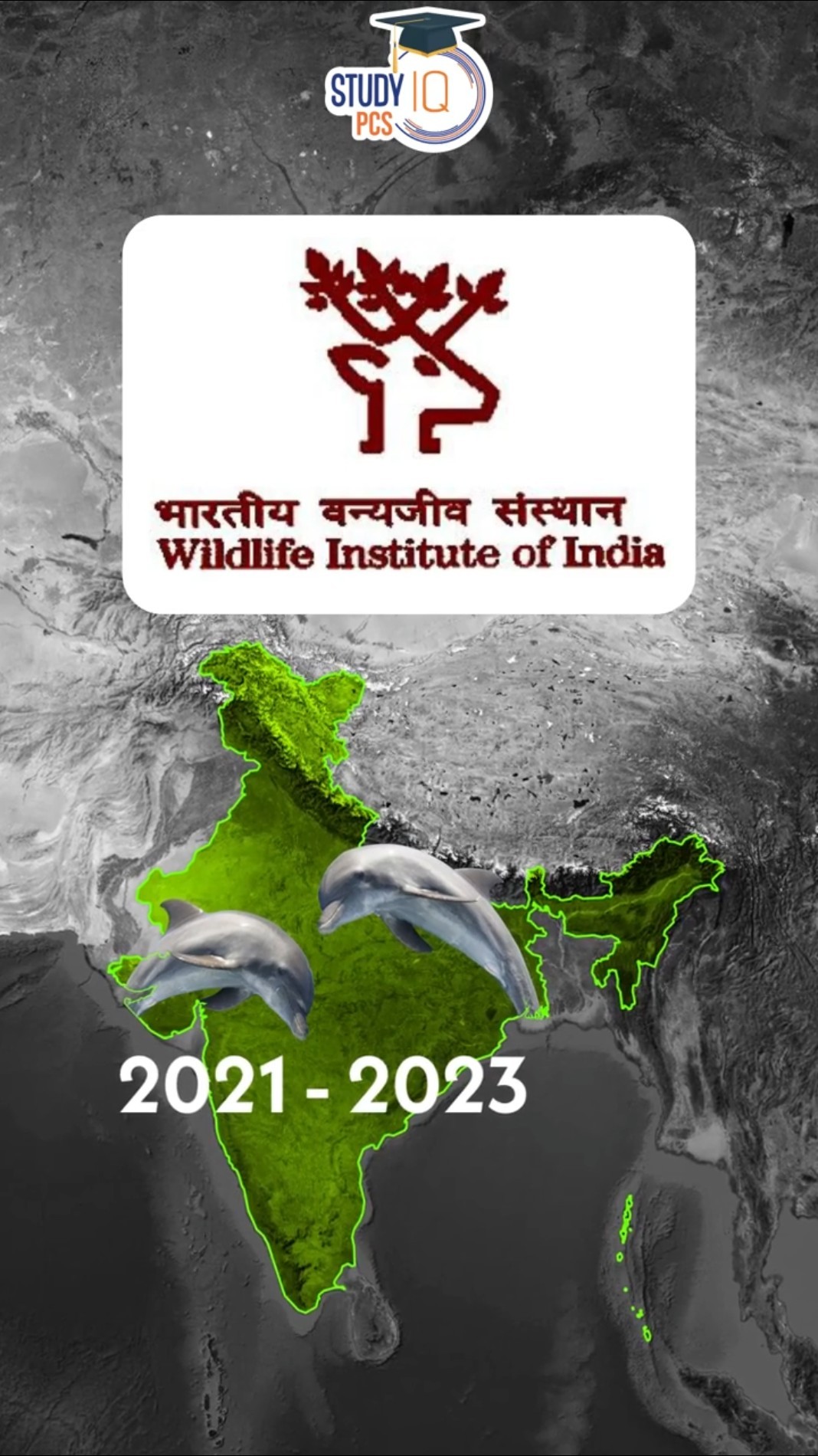 India's First Dolphin Population Survey l Dr Vipan Goyal