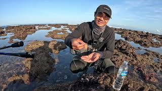 Download Lagu BARU TAU TERNYATA DISINI SEA FOOD SULTAN KERANG BUAYA MAHAL! MP3 Download Lagu BARU TAU TERNYATA DISINI SEA FOOD SULTAN KERANG BUAYA MAHAL! MP3
