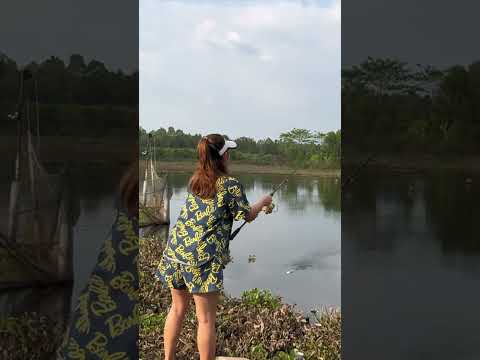 Câu cá mè bò bằng cần máy tại hồ bán thiên nhiên 106 La Ngà | VY HAN FISHING