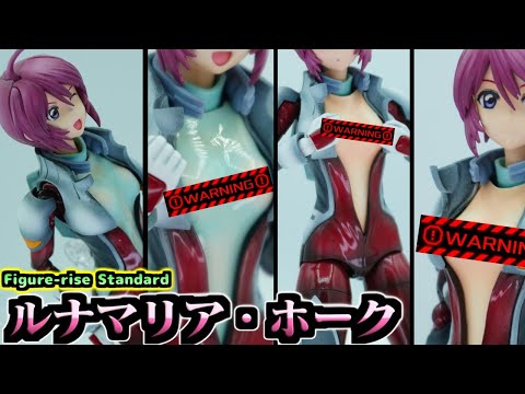 Figure-rise Standard　ルナマリア・ホーク 布服改造品 Figure-rise Standard ルナマリア・ホーク 布服改造品 Figure