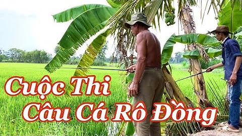 Cuộc Thi Câu Cá Rô Đồng, Phát Hiện Ông 6 Cô Đơn Gian Lận & Món Cá Rô Đồng, Lươn, Cá Phi Chiên Giòn