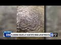 Toledo woman says apartment floods repeatedly during heavy rain