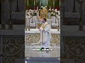 Preparing for Mass #homily #sundaymass #catholicchurch #catholic #fatherbrianpark