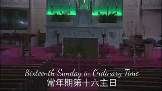 Old St Mary's Cathedral, SF.  - thirteenth Sunday in Ordinary Time