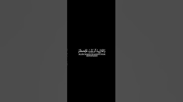 سورة النساء الآية[27 إلى 29]القارئ : محمد اللحيدان