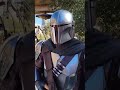 Huge Crowds Swarm Mandalorian and Grogu at Disney⚠️